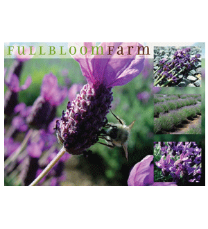 Full Bloom Farm