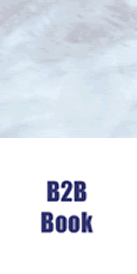 B2B Books